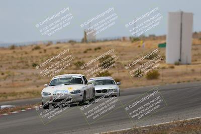 media/May-03-2025-Lucky Dog Racing (Sat) [[206de64b9d]]/Turn 6 (150pm-230pm)/